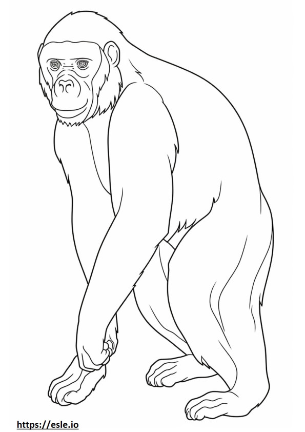 Bonobo cute coloring page