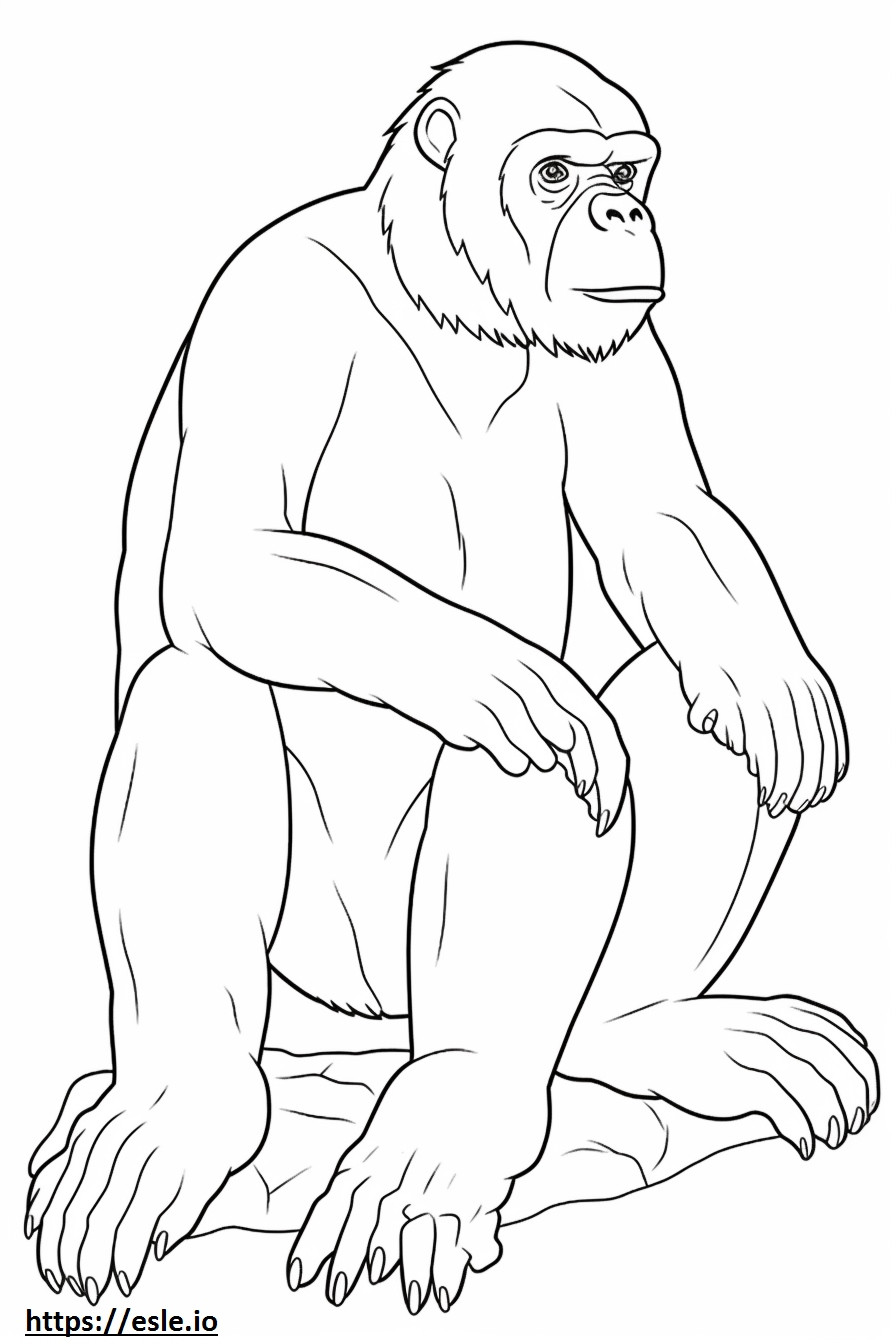 Bonobo fofo para colorir