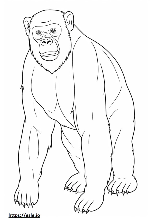 Bonobo fofo para colorir