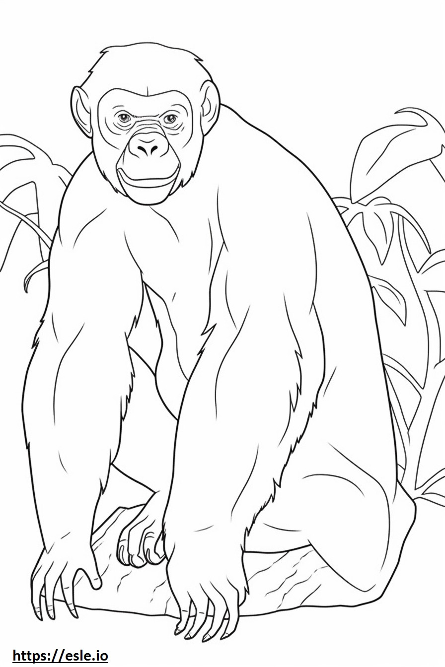 Bonobo senang gambar mewarnai