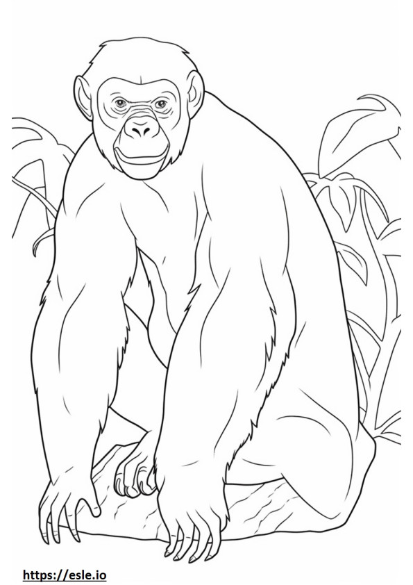 Bonobo glücklich ausmalbild