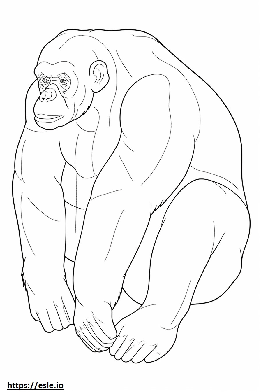 bonobo durmiendo para colorear e imprimir