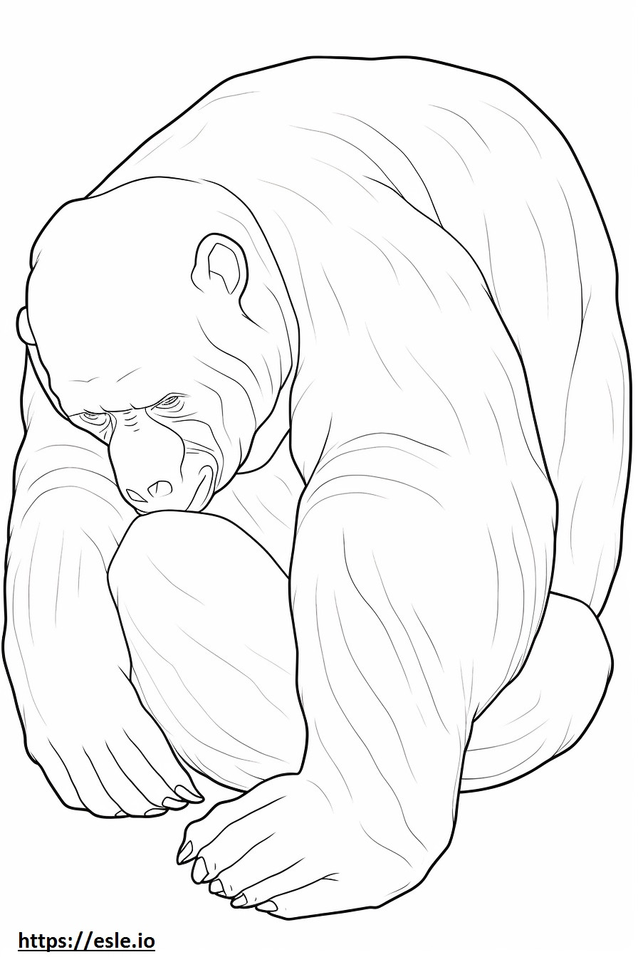 Bonobo schläft ausmalbild
