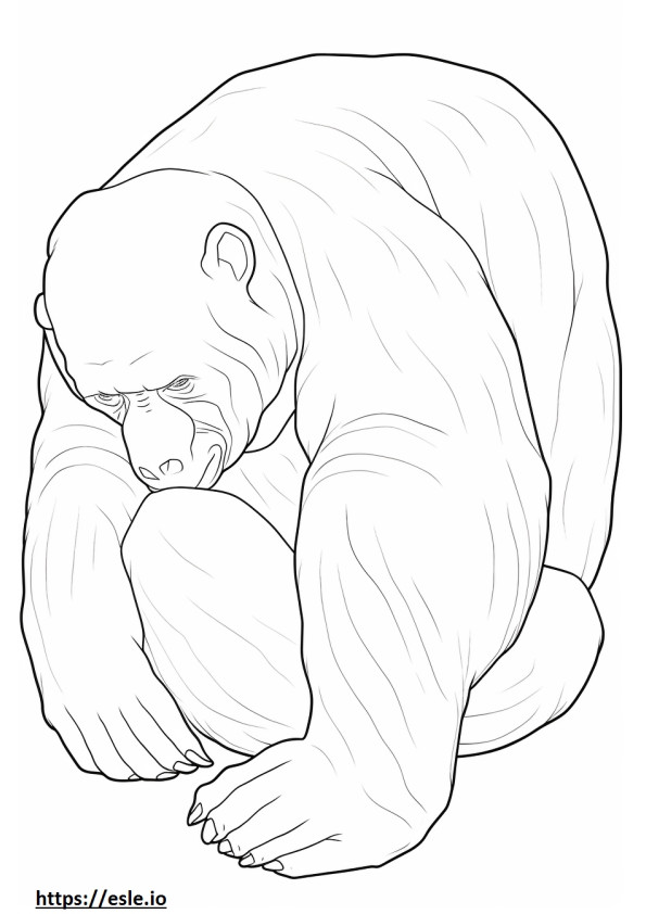 Bonobo dormindo para colorir