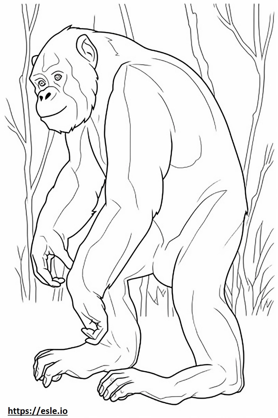Bonobo che gioca da colorare