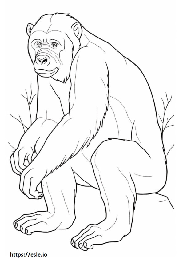 Bonobo Playing coloring page