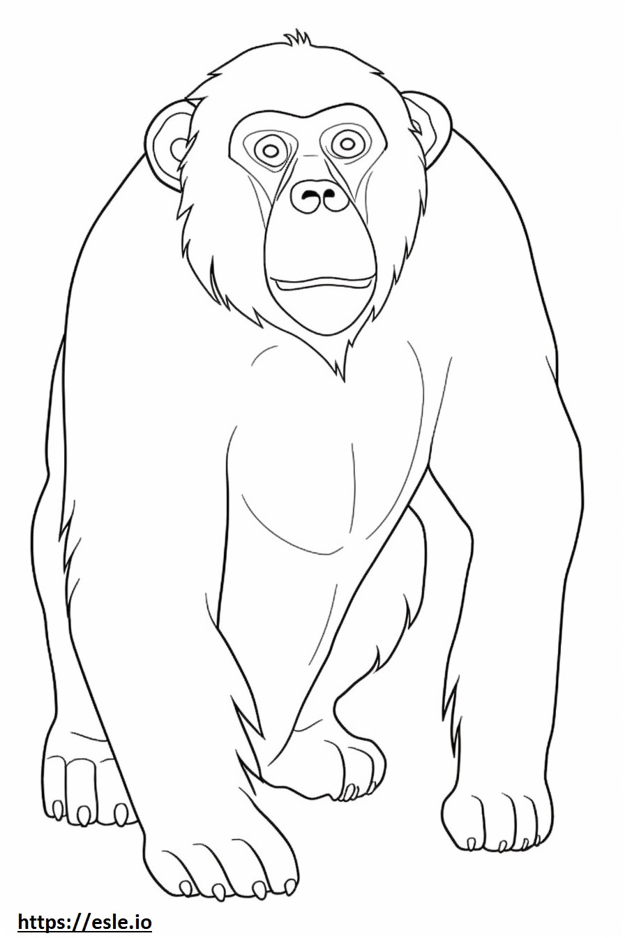 Bonobo Kawaii värityskuva