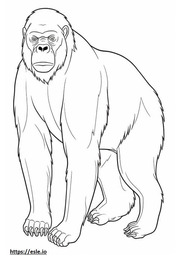 Bonobo Amigável para colorir