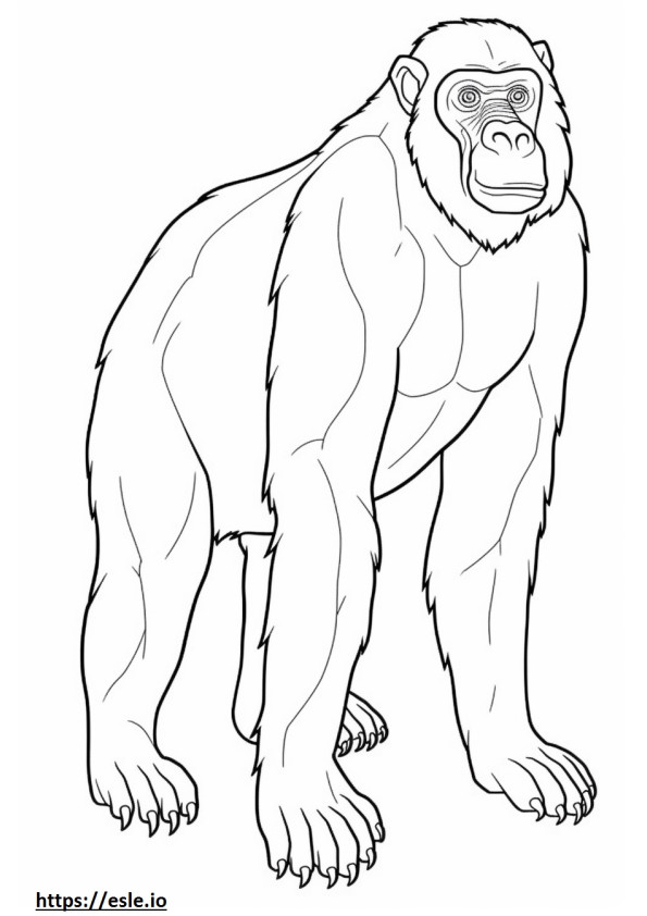 Bonobo Friendly coloring page
