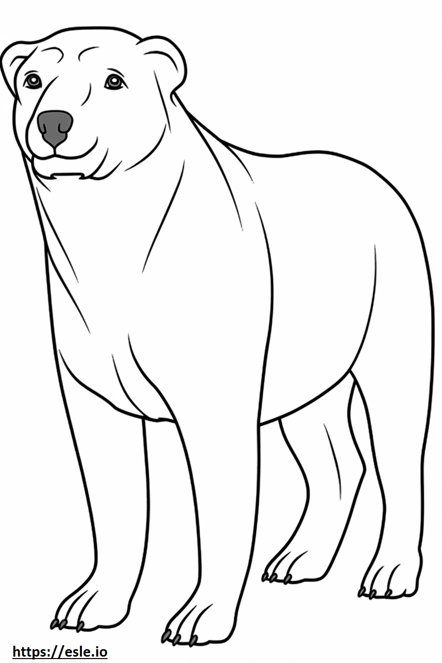 Borador Cartoon Coloring Page for Kids