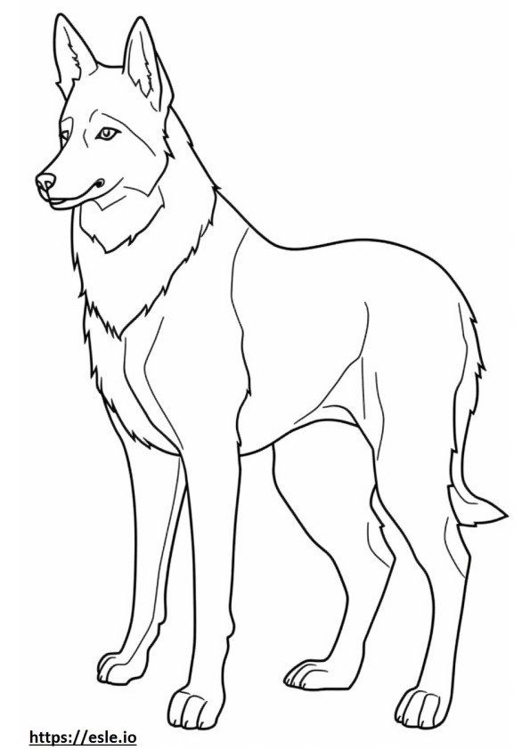 Border Collie full body coloring page