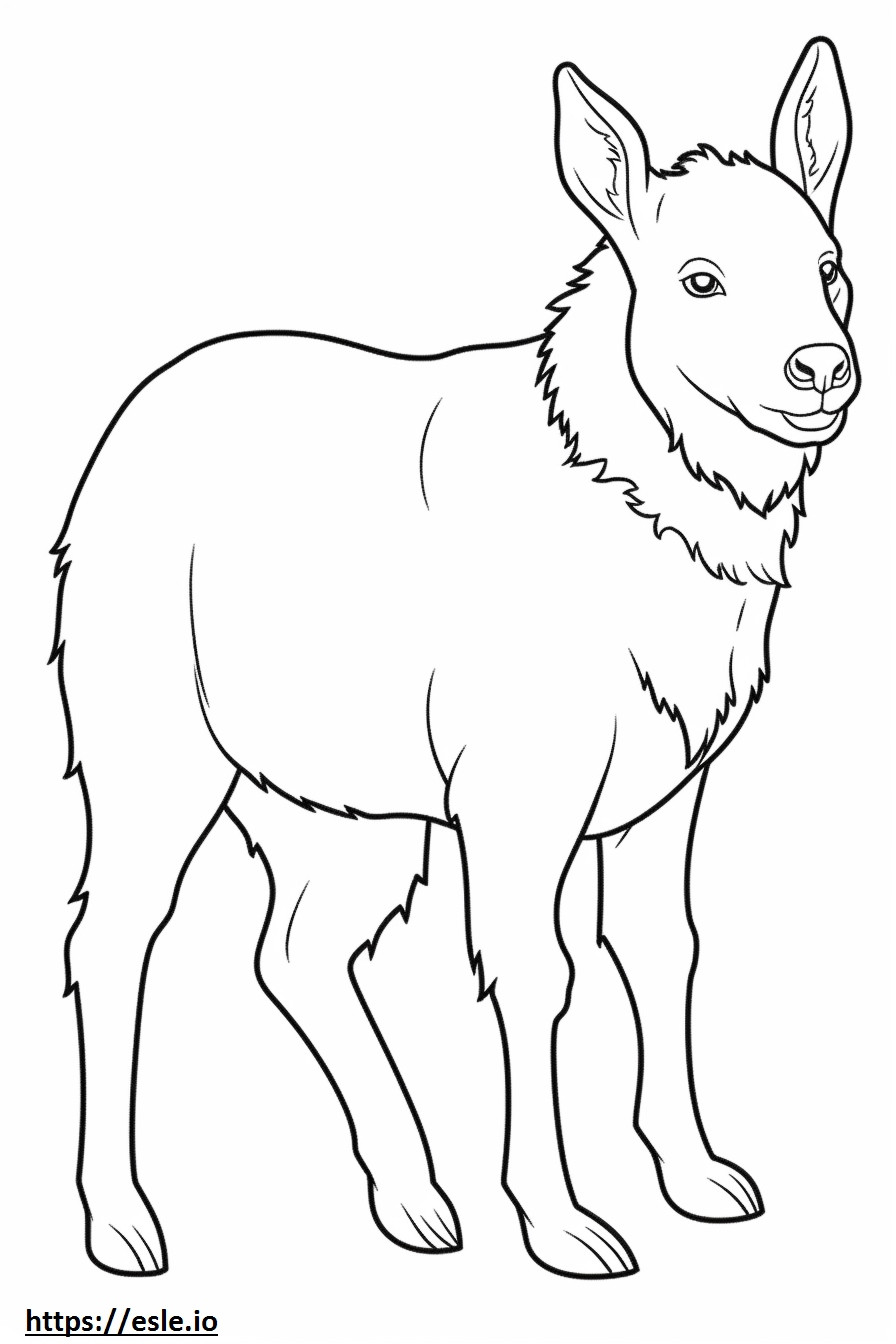 Border Collie baby coloring page
