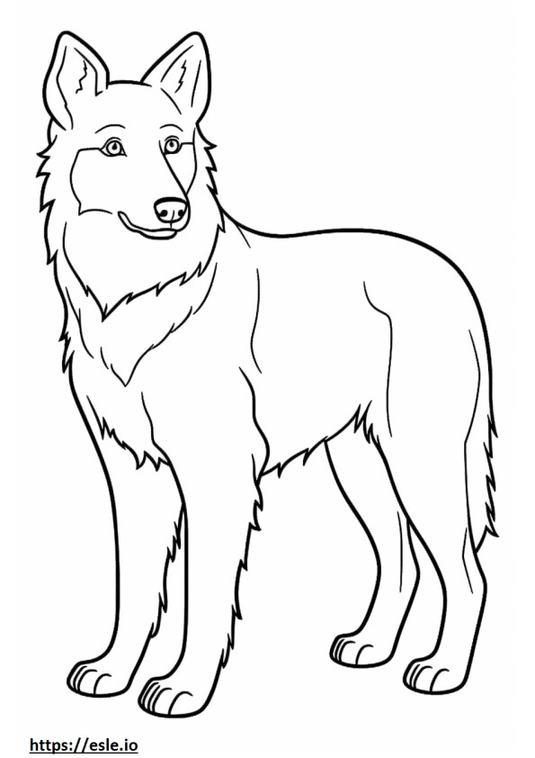 Border Collie cute coloring page