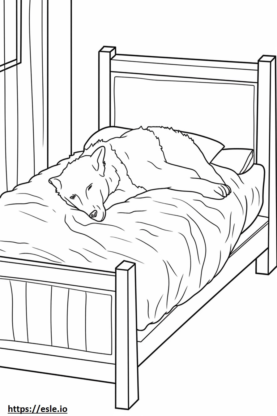 Border Collie Sleeping coloring page