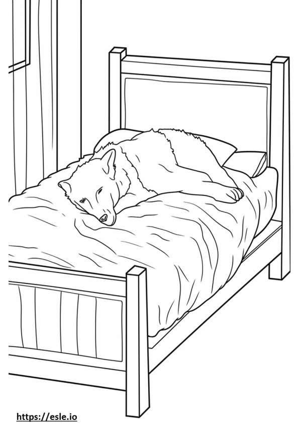 Border Collie Sleeping coloring page