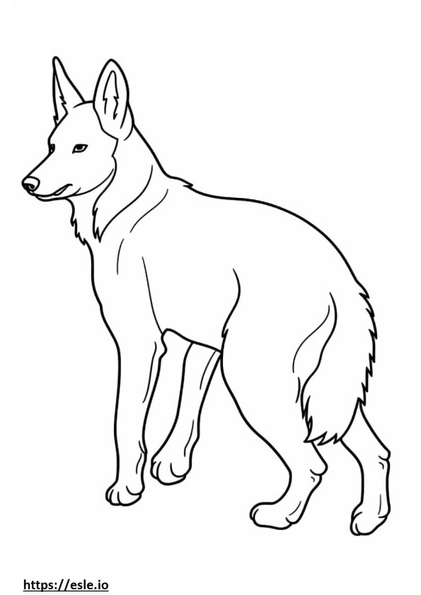 Border Collie Playing coloring page