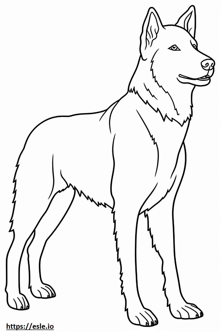 Border Collie Friendly coloring page