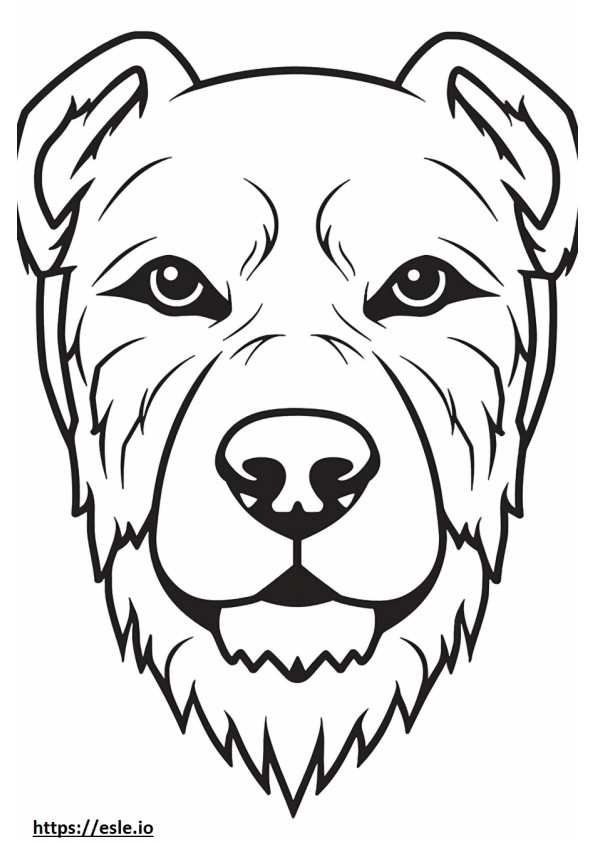 Border Terrier face coloring page
