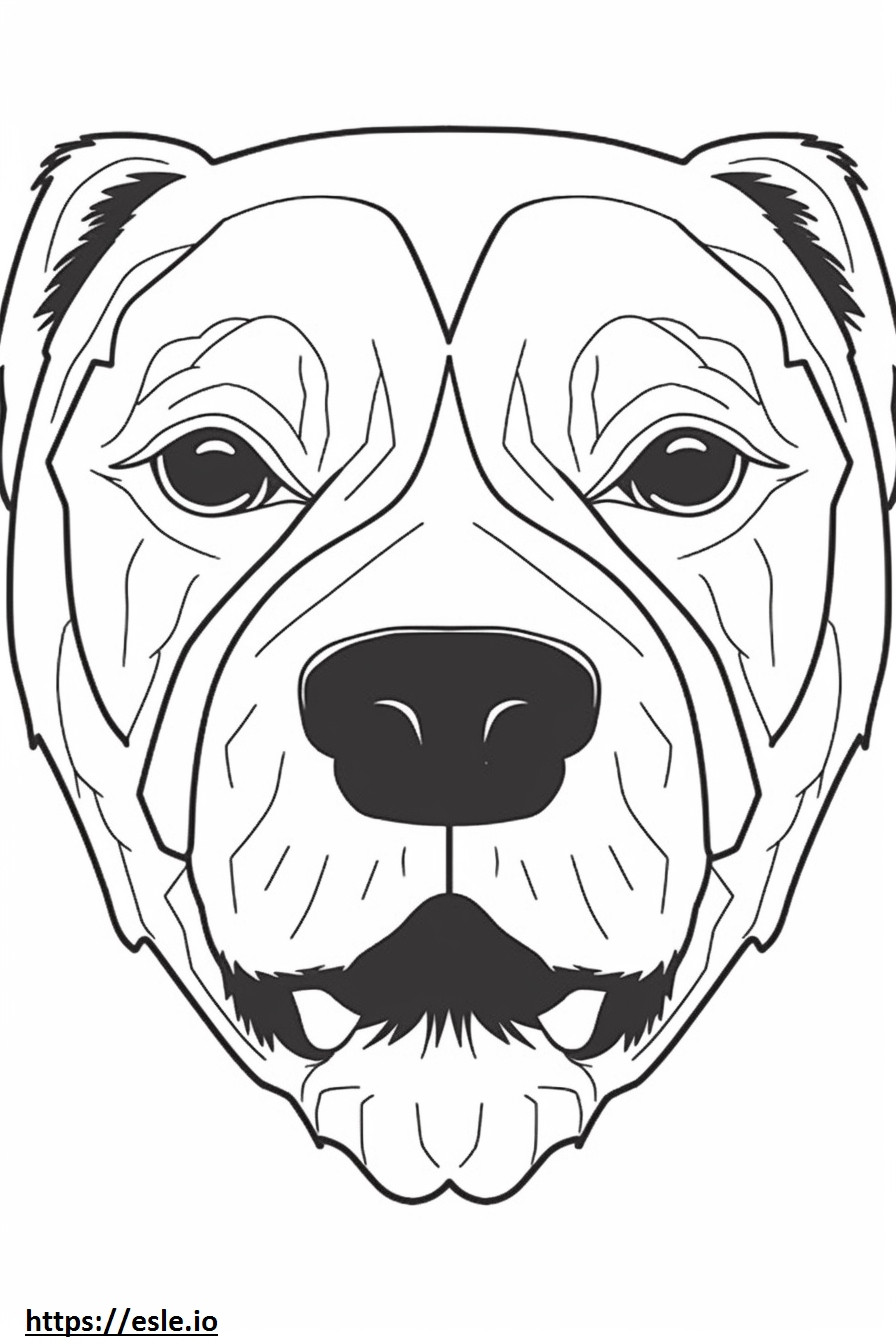 Cara de Border Terrier para colorear e imprimir