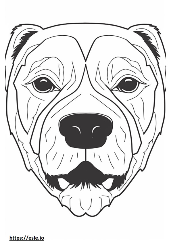 Faccia di Border Terrier da colorare