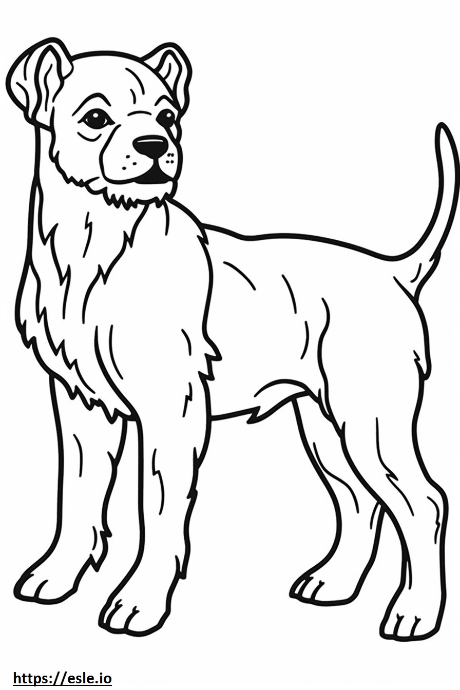 Copilul Border Terrier de colorat