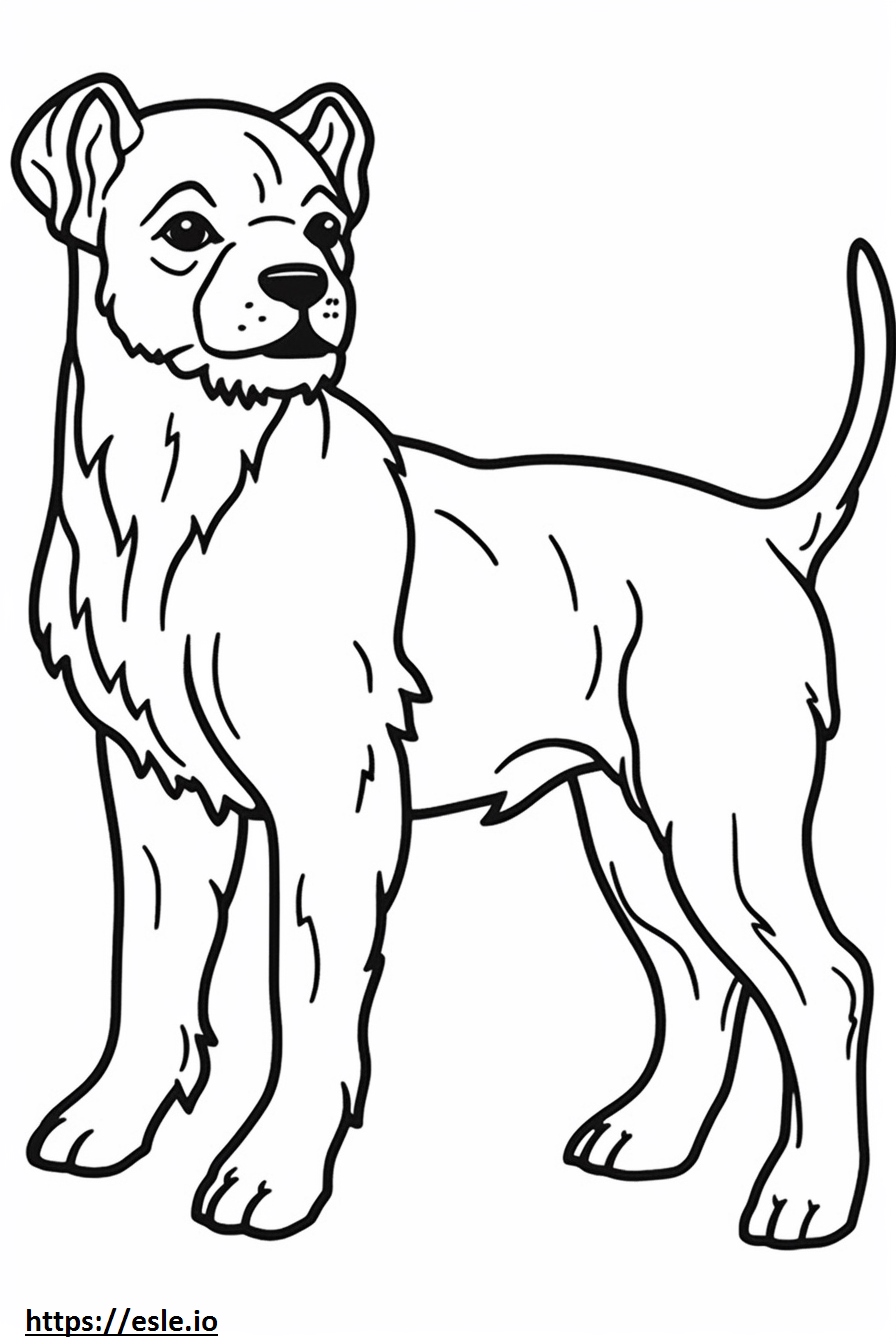 Border Terrier baby coloring page