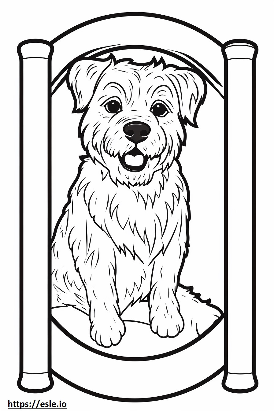 Border Terrier baby coloring page