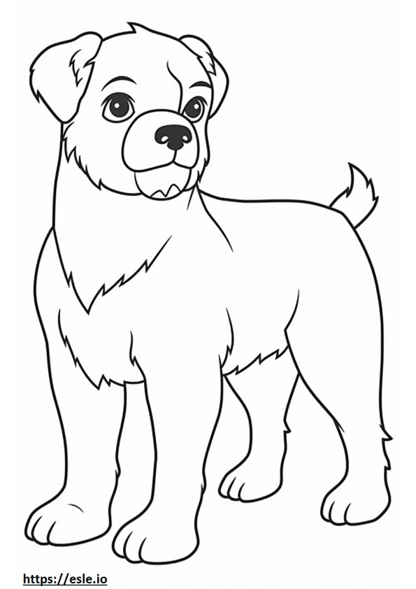 Bebé Border Terrier para colorear e imprimir