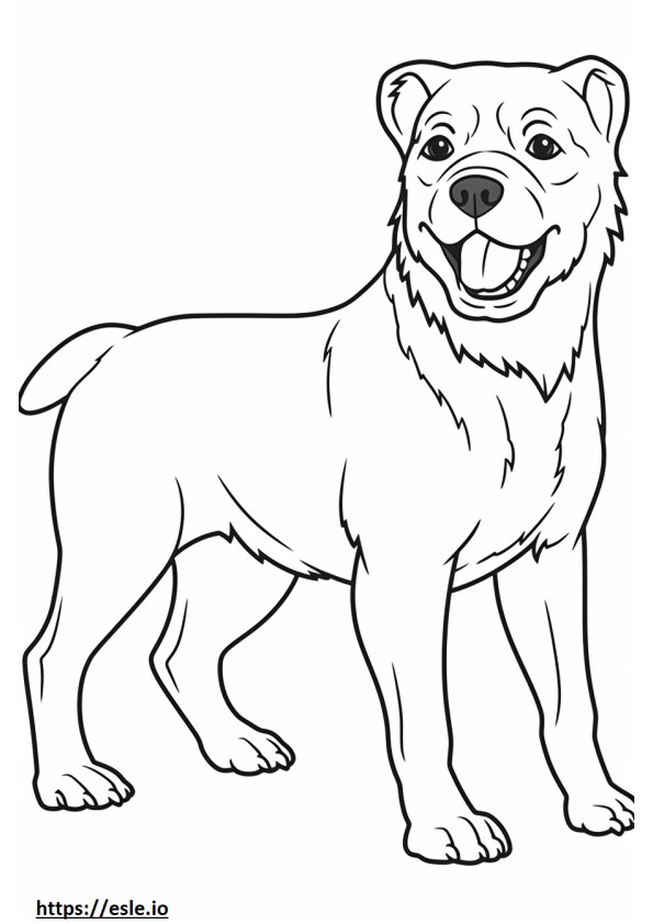 Cartone animato di Border Terrier da colorare