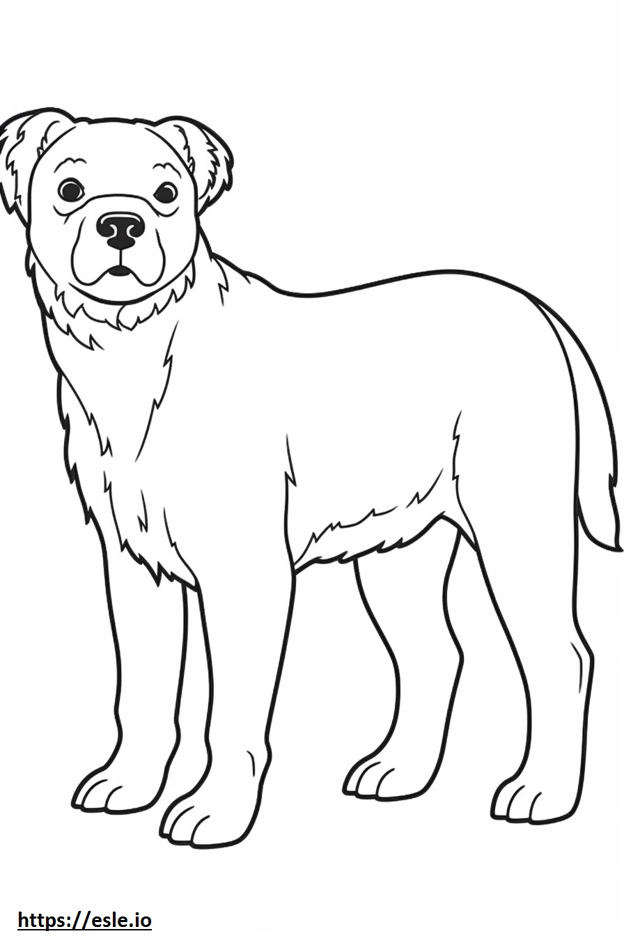 Desenho animado do Border Terrier para colorir