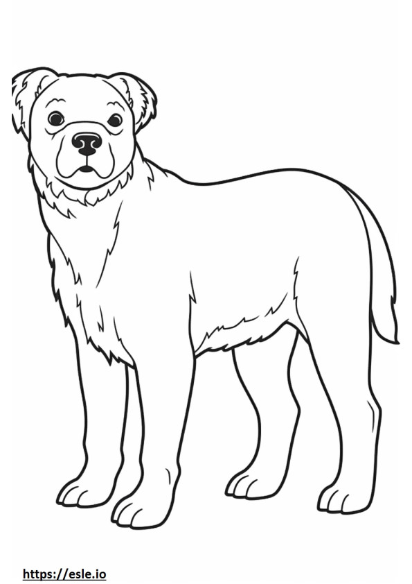 Coloriage Caricature de Border Terrier à imprimer