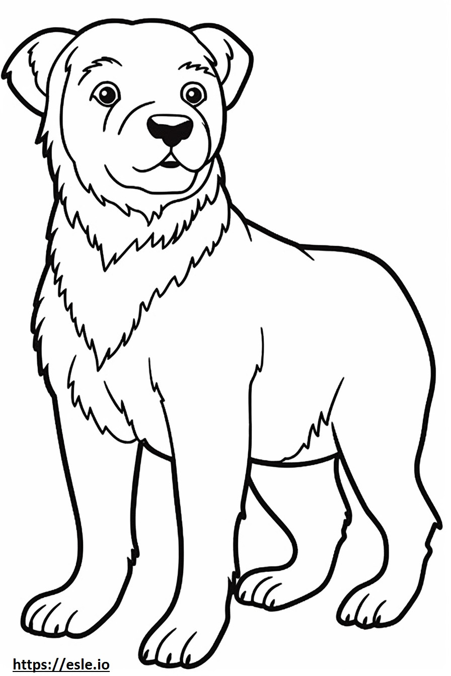 Border Terrier cute coloring page