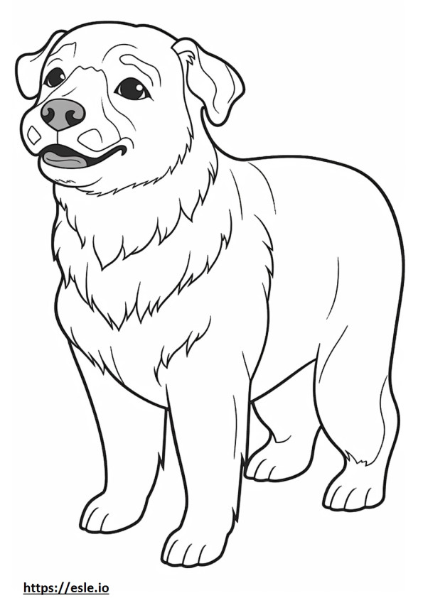 Border Terrier fofo para colorir