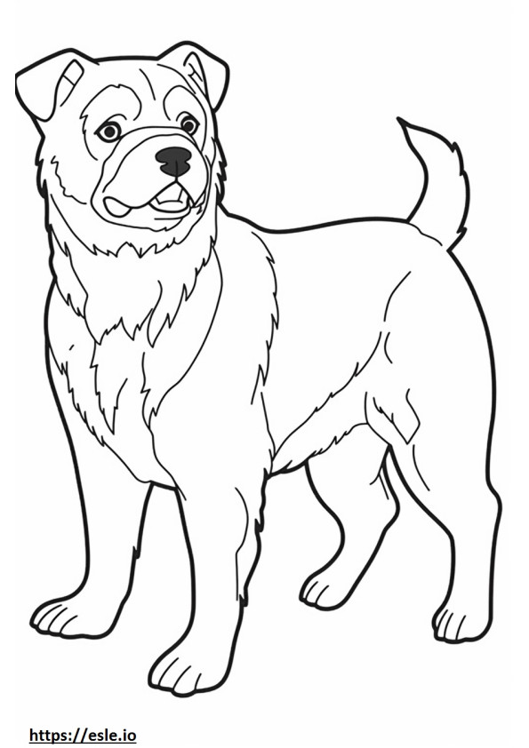Border Terrier drăguț de colorat