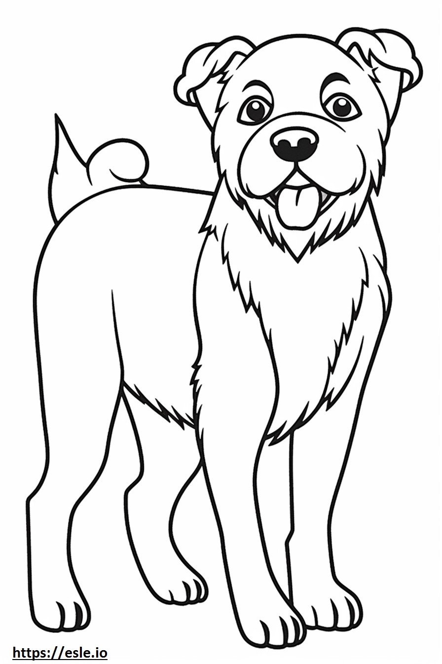 Border Terrier feliz para colorir