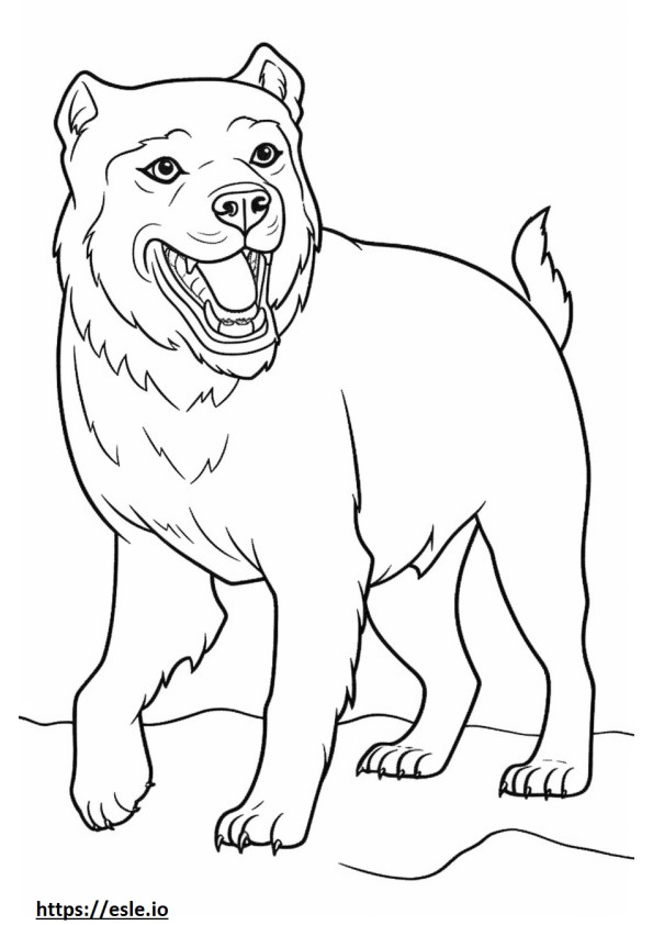 Coloriage Border Terrier heureux à imprimer