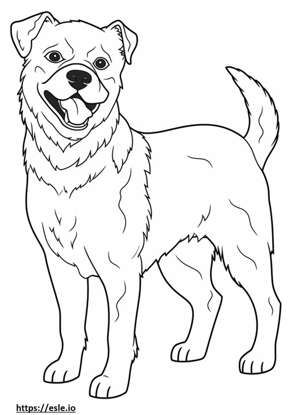 Border Terrier feliz para colorear e imprimir