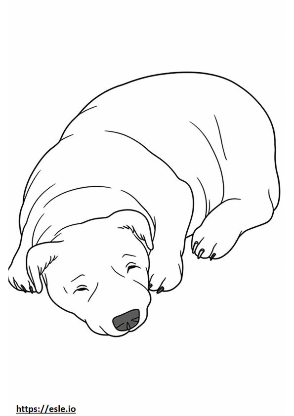 Border Terrier śpi kolorowanka