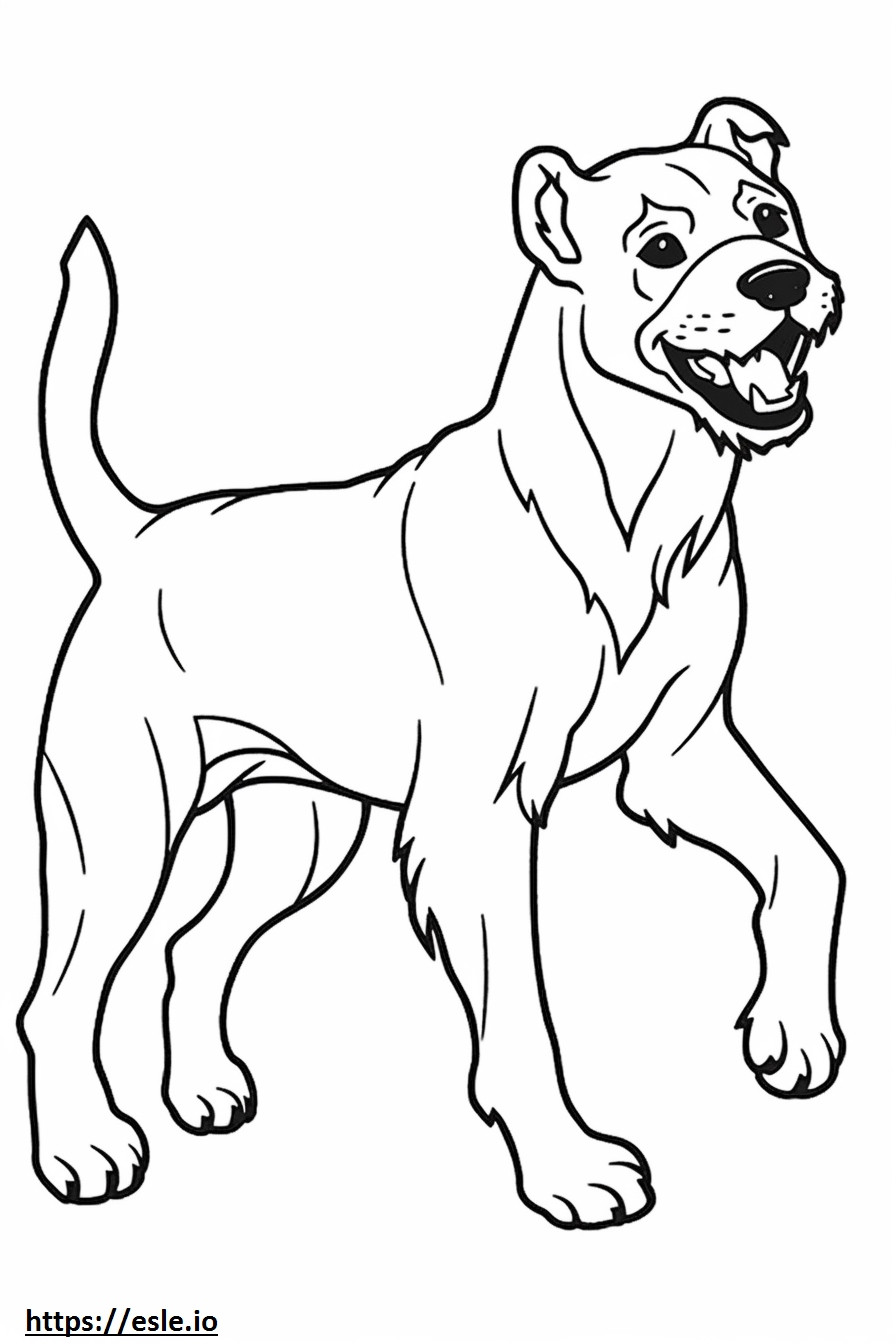 Coloriage Border Terrier jouant à imprimer