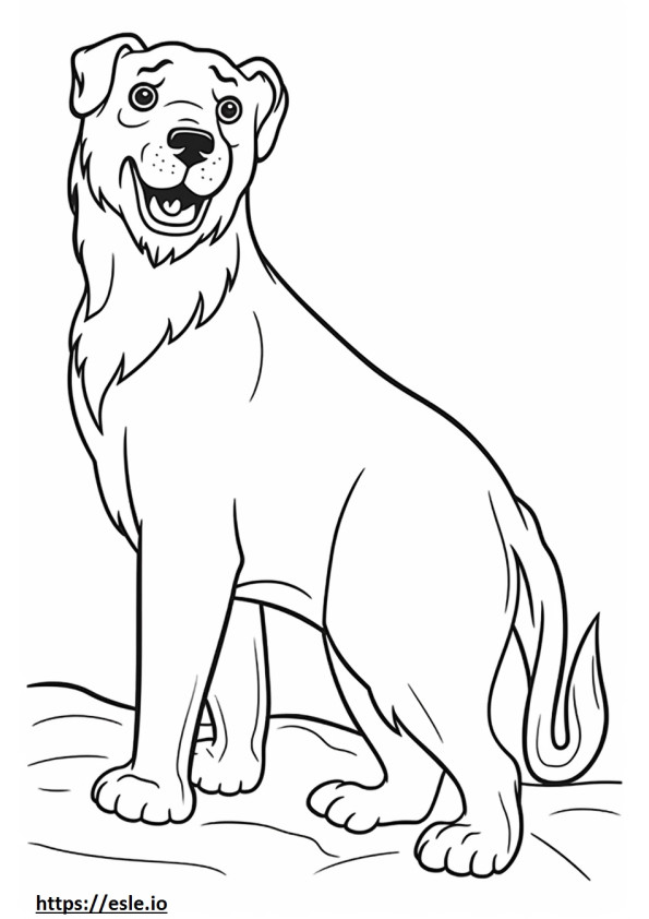 Border Terrier Playing coloring page