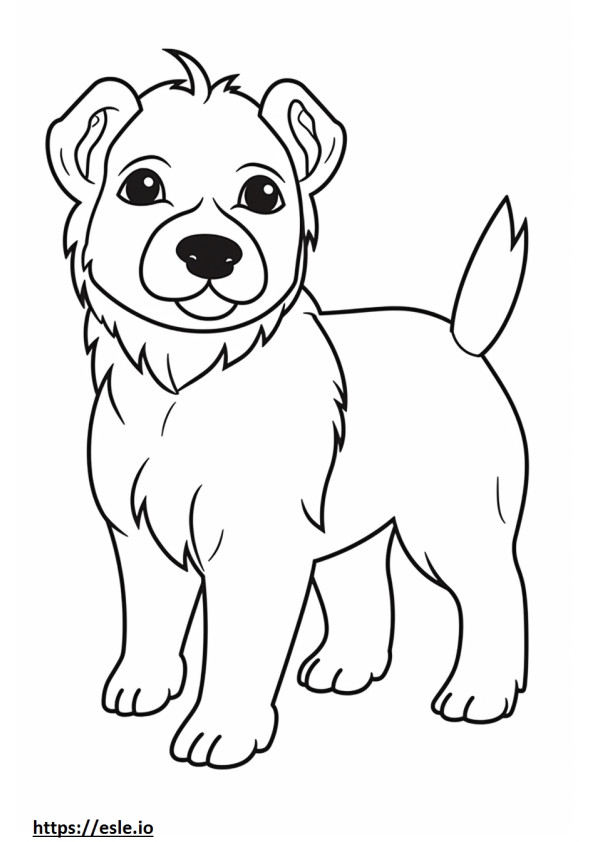 Border Terrier Kawaii para colorir
