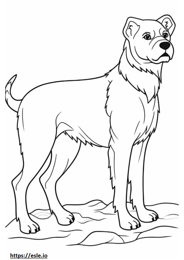 Amigable con el Border Terrier para colorear e imprimir
