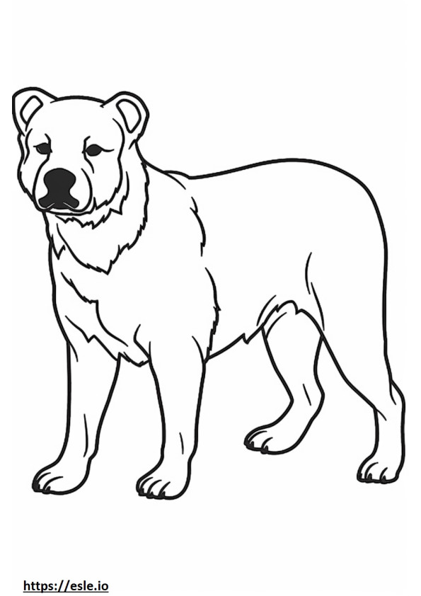 Border Terrier amigável para colorir