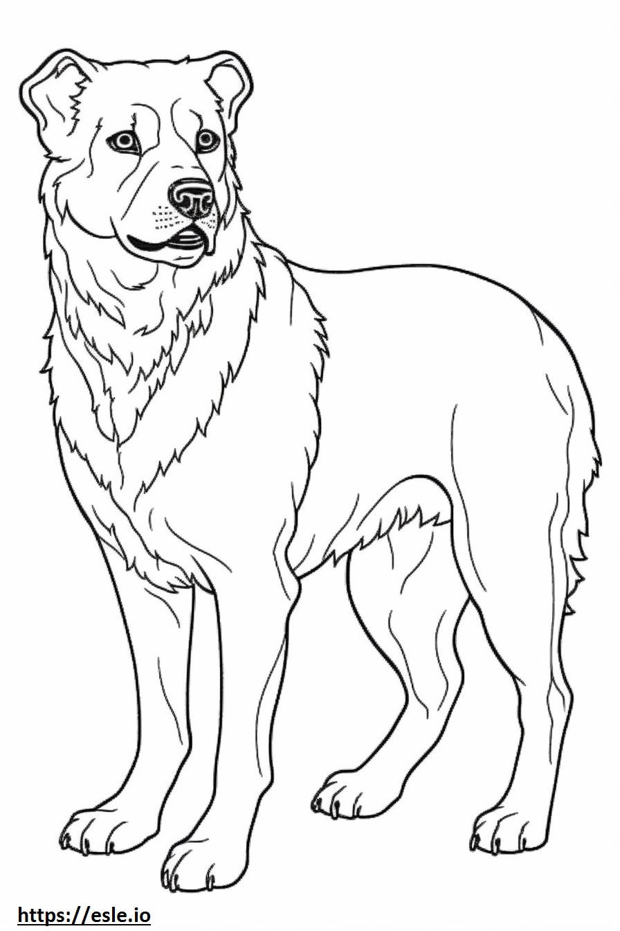 Border Terrier Friendly coloring page