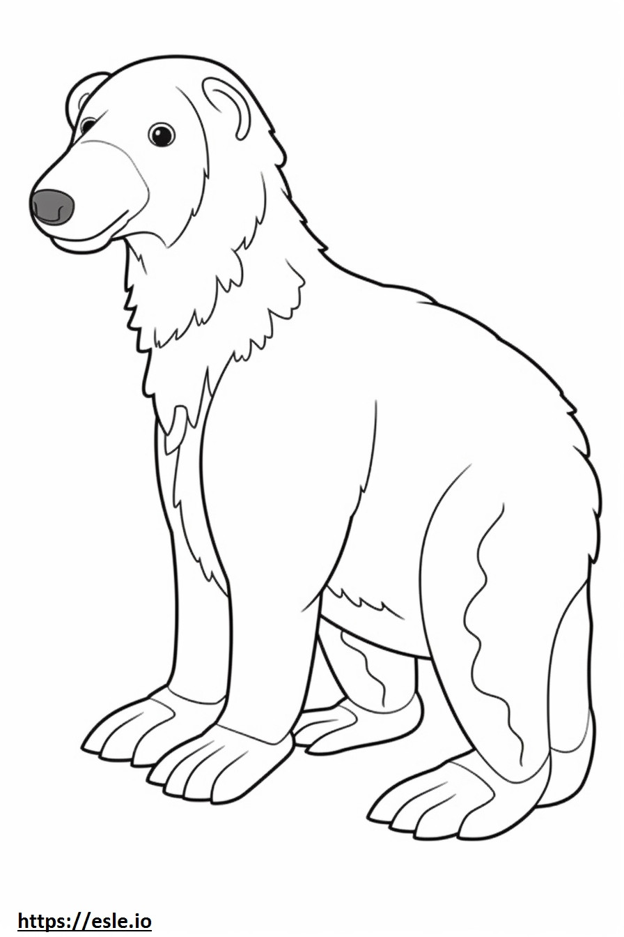 Bordoodle full body coloring page