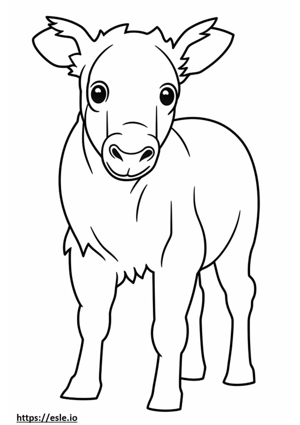 Bordoodle baby coloring page