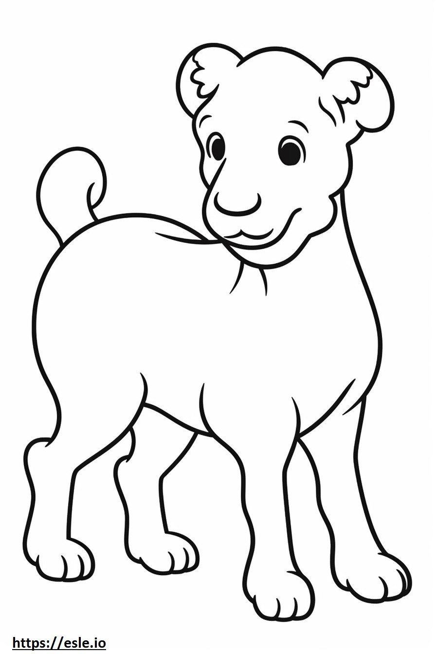 Bordoodle cute coloring page