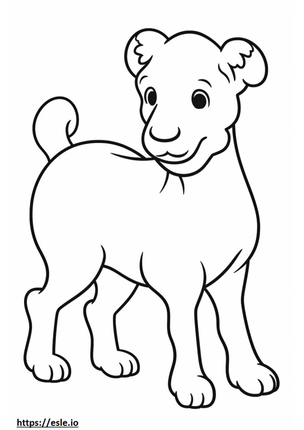 Bordoodle cute coloring page