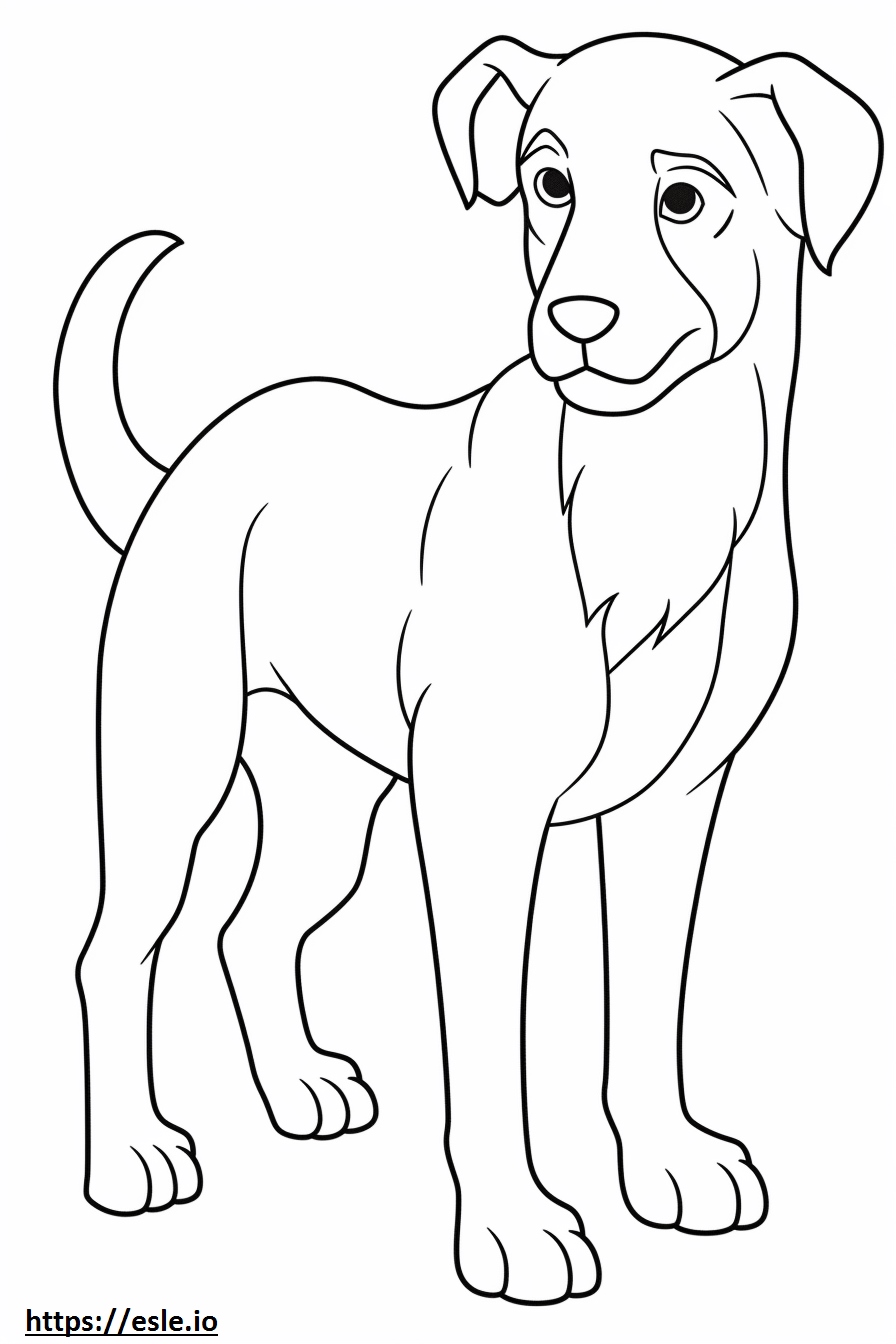 Disegno Bordoodle carino da colorare