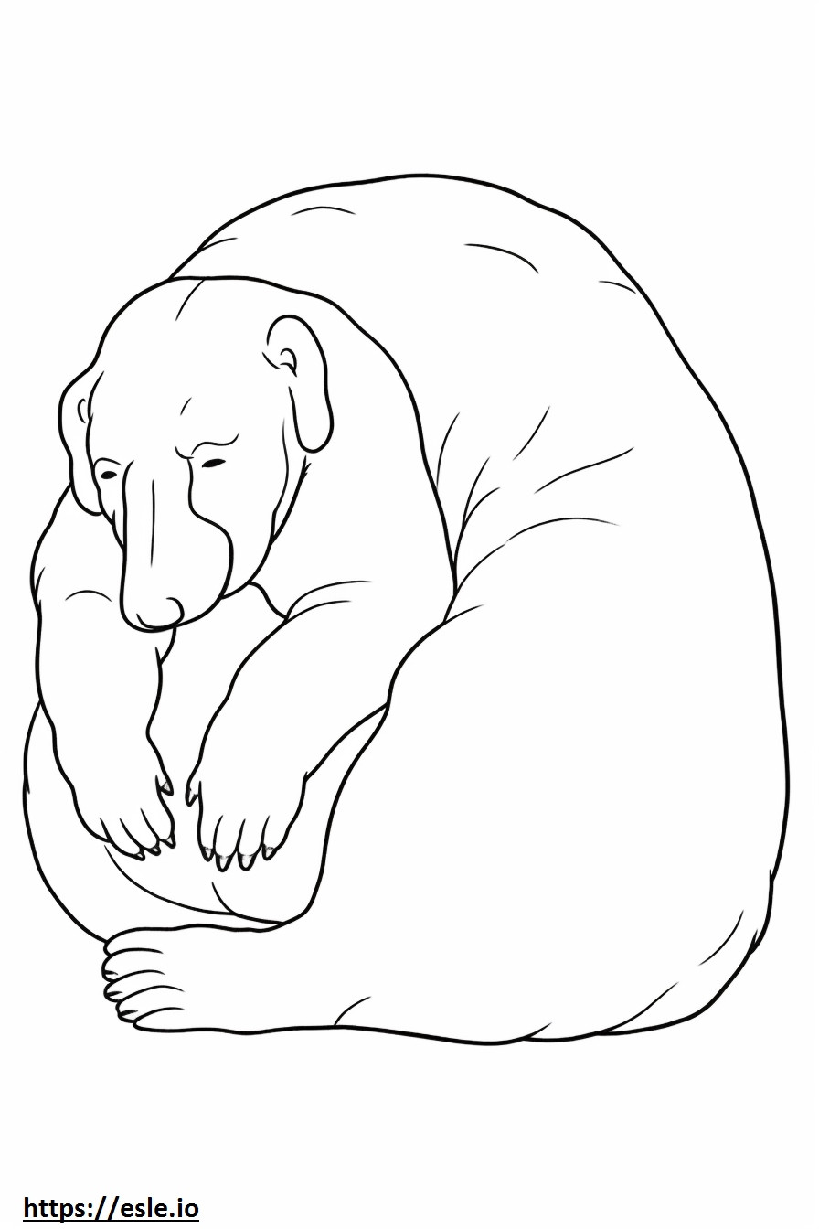 Bordoodle Sleeping coloring page